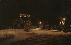 Christmas Park Albion, NY Postcard Postcard Postcard