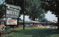 Maplewood Motel Postcard