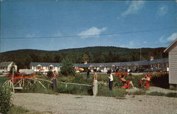 Mt. Jefferson Motel and Restaurant Randolph, NH Postcard Postcard Postcard