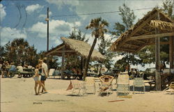 Siesta Beach - Picnic Area Sarasota, FL Postcard Postcard Postcard