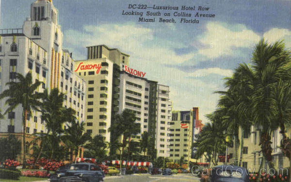 Luxurious Hotel Row Miami Florida