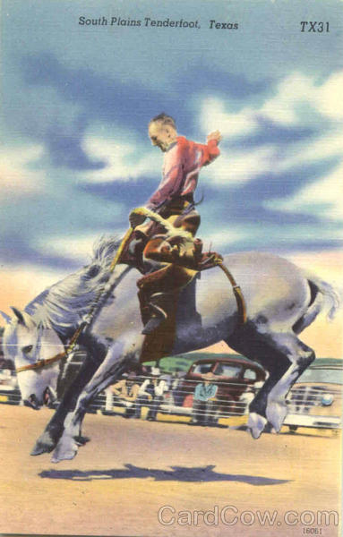 South Plains Tenderfoot, Texas Rodeos