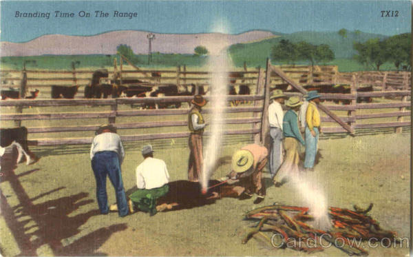 Branding Time On The Range Cowboy Western
