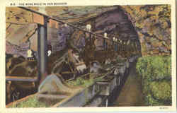 The Mine Mule In Her Boudoir Postcard