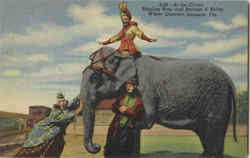 Stock #46972 Thumbnail