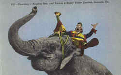 Clowning At Ringling Bros. And Barnum & Bailey Winter Quarters Postcard
