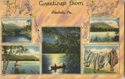 Greetings From Shohola Postcard