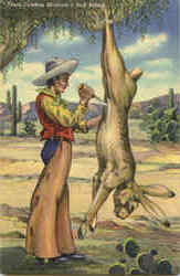 Texas Cowboy Skinning A Jack Rabbit Postcard