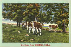 Greetings From Helena Postcard