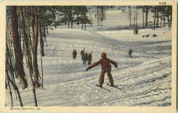 Downhill Skiing Postcard Postcard