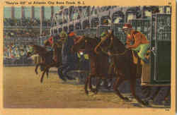 They're Off At Atlantic City Race Track Postcard