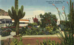 Entrance To Camelback Inn Postcard