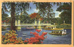 The Lake In The Public Gardens Postcard
