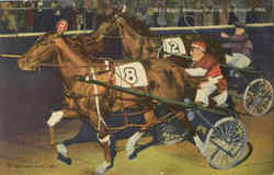 Night Harness Racing, Maywood Park Postcard