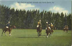Gulf Stream Polo Grounds Delray Beach, FL Postcard Postcard