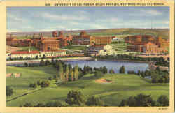 University Of California At Los Angeles, Westwood Hills Postcard