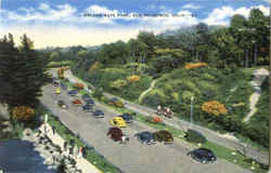 Golden Gate Park San Francisco, CA Postcard Postcard