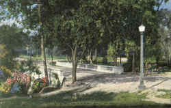 Scene In Cameron Park, Cameron Park Postcard