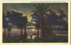 Moonlight On Corpus Christi Bay Texas Postcard Postcard