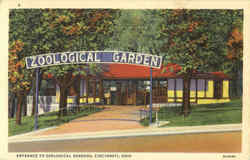 Entrance To Zoological Gardens Postcard