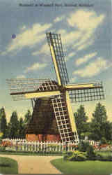 Windmill In Windmill Park Postcard