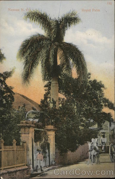 Royal Palm Nassau Bahamas Caribbean Islands