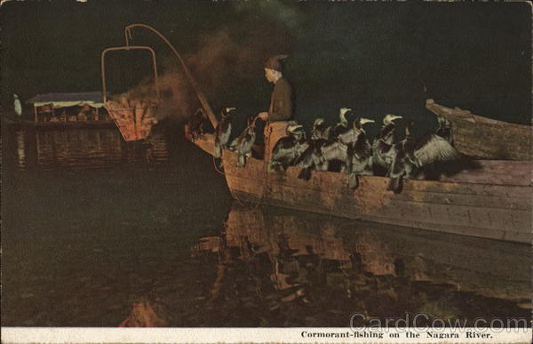 Cormorant Fishing on the Nagara River Japan