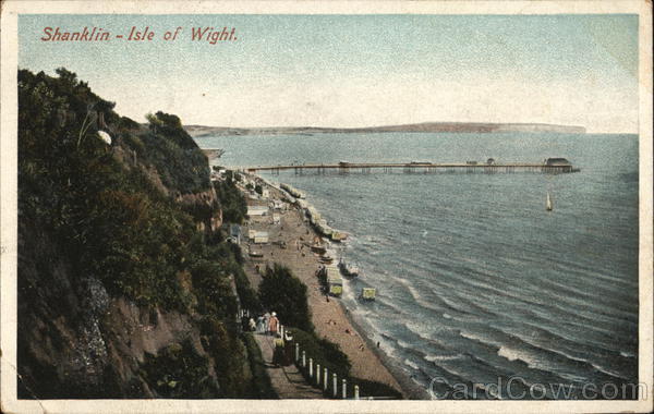 Cliffs and Pier Shanklin England