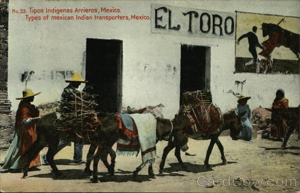 No.33 Tipos indigenas Arrieros, Mexico. - Types of mexican indian transporter, Mexico