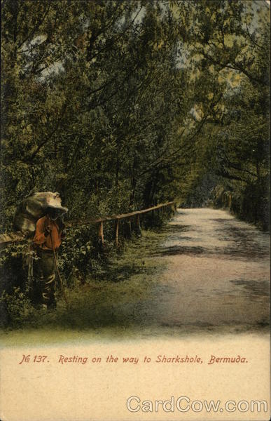 Resting on the way to Sharkshole, Bermuda Hamilton Parish