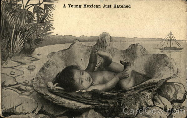 A Joung Mexican Just Hatched Mexico