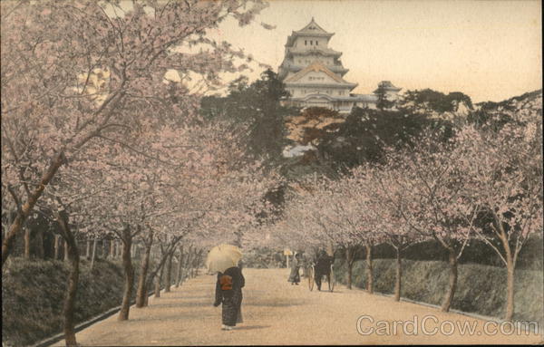 Himeji Castle and Cherry Blossoms Kobe Japan