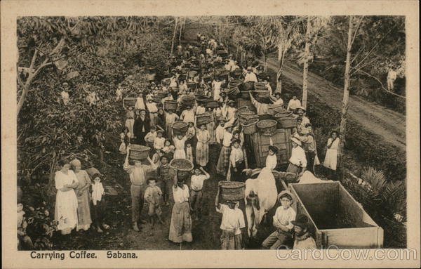 Carrying Coffee Sabana San Jose Costa Rica Central America