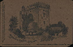 Blarney Castle Ireland Postcard Postcard
