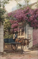 Two natives. Nassau Postcard