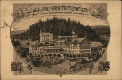 Wald-&Hohen-Kurort Friedenweiler. 904 MUM Stationen der Hollenthalbahn Neustadt u Rotenbach 1/SCHW. Rothenbach, Germany Postcard Postcard