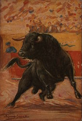 Bullfight Nogales, Sonora Mexico Postcard Postcard