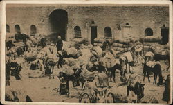 Turkish military depot on the tigris between Bagdad and Kut-el-amara Turkey Greece, Turkey, Balkan States Postcard Postcard