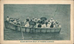 Glass bottom boat at Marine Gardens Postcard