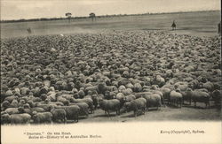 "Droving". On The Road Sydney, Australia Postcard Postcard