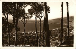 161 - Liban - La Baie de Djounie Lebanon Middle East Postcard Postcard