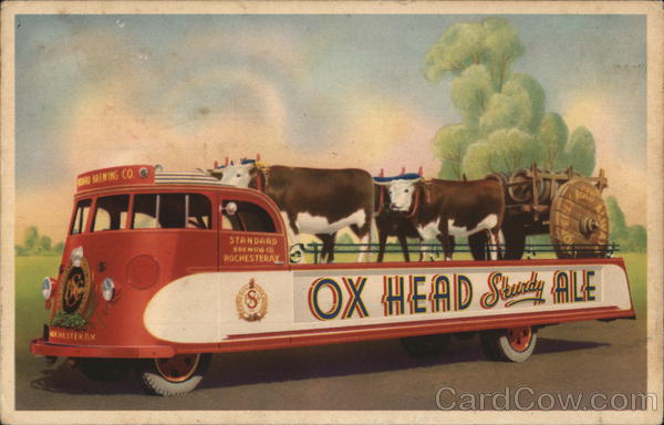 Ox Head Sturdy Ale Rochester New York