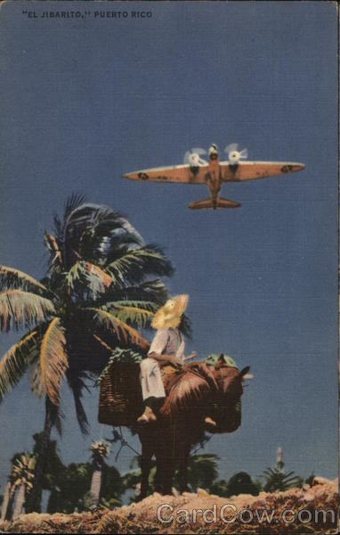 El Jibarito - Puerto Rico Aircraft