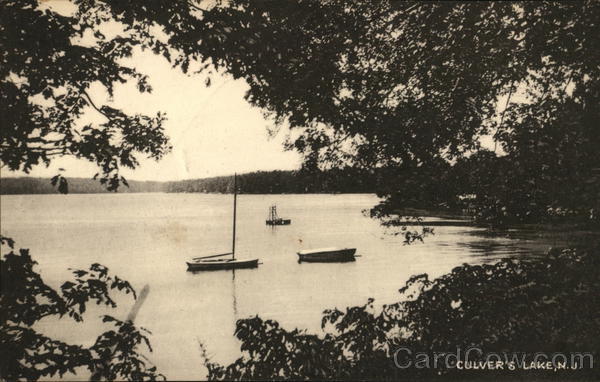 Three Boats in Water Near Trees Culvers Lake New Jersey
