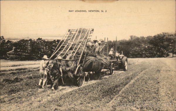 Hay Loading Newton New Jersey
