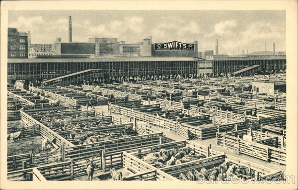 Swift & Company Plant Chicago Illinois