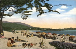 The Beach Carmel, CA Postcard Postcard Postcard