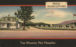 Profile Deluxe Cottages Twin Mountain, NH Postcard Postcard Postcard