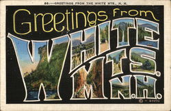 Greetings from the White Mountains New Hampshire Postcard Postcard Postcard