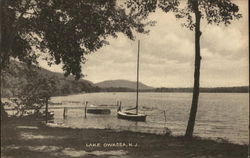 Lake Owassa Frankford, NJ Postcard Postcard Postcard